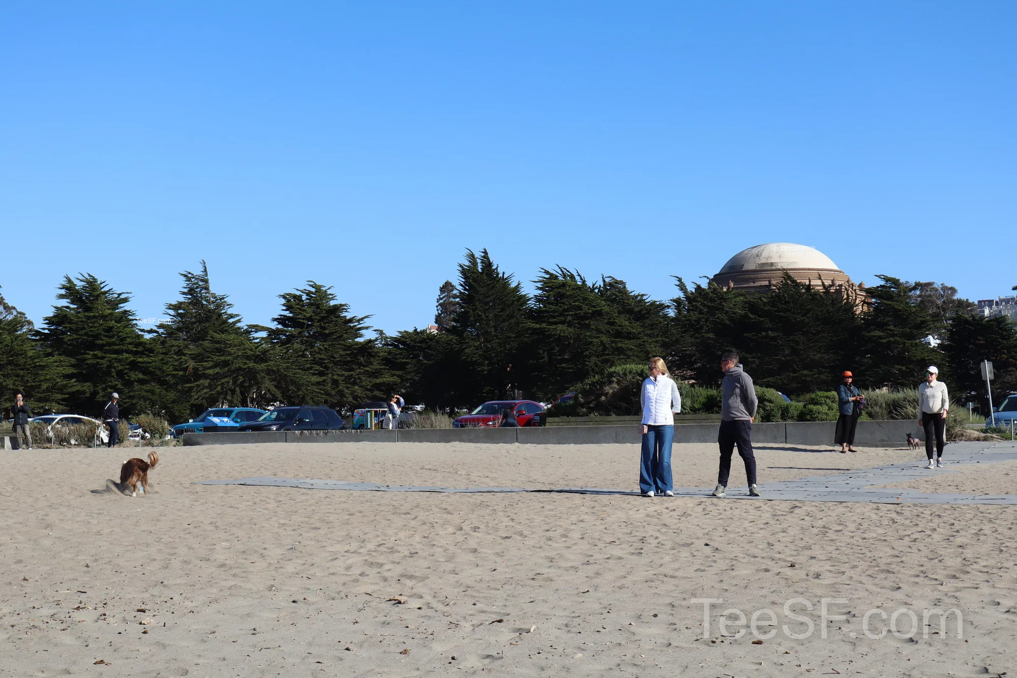 golden Gate Beach Dog And People during a Stripe Sessions 2026 visit in San Francisco.